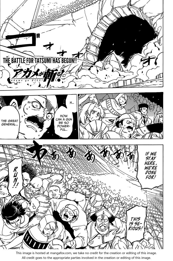 Read Akame ga Kill! en Manga Online