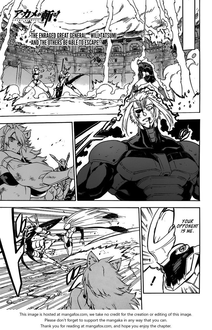 Read Akame ga Kill! en Manga Online