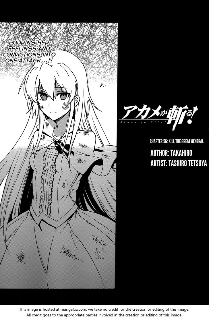 Read Akame ga Kill! en Manga Online