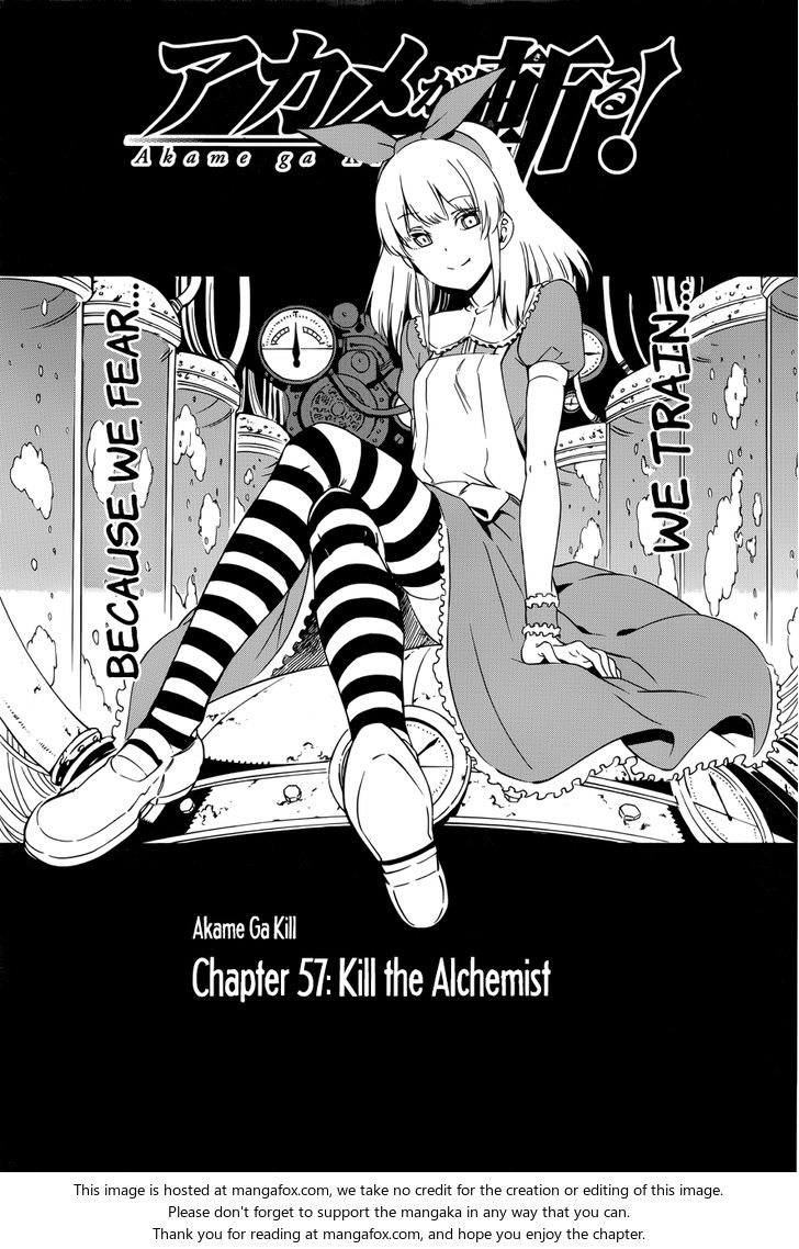 Read Akame ga Kill! en Manga Online