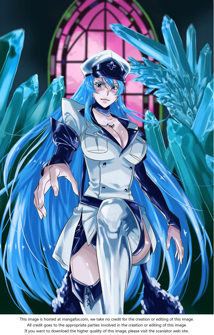 Read Akame ga Kill! en Manga Online