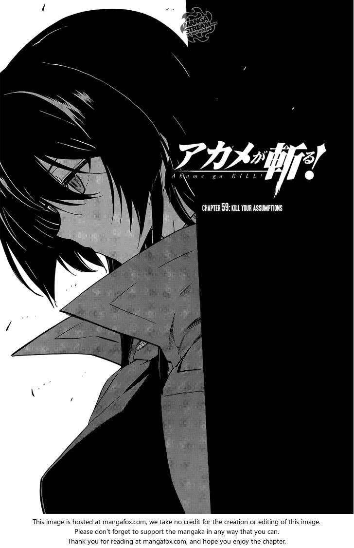 Read Akame ga Kill! en Manga Online
