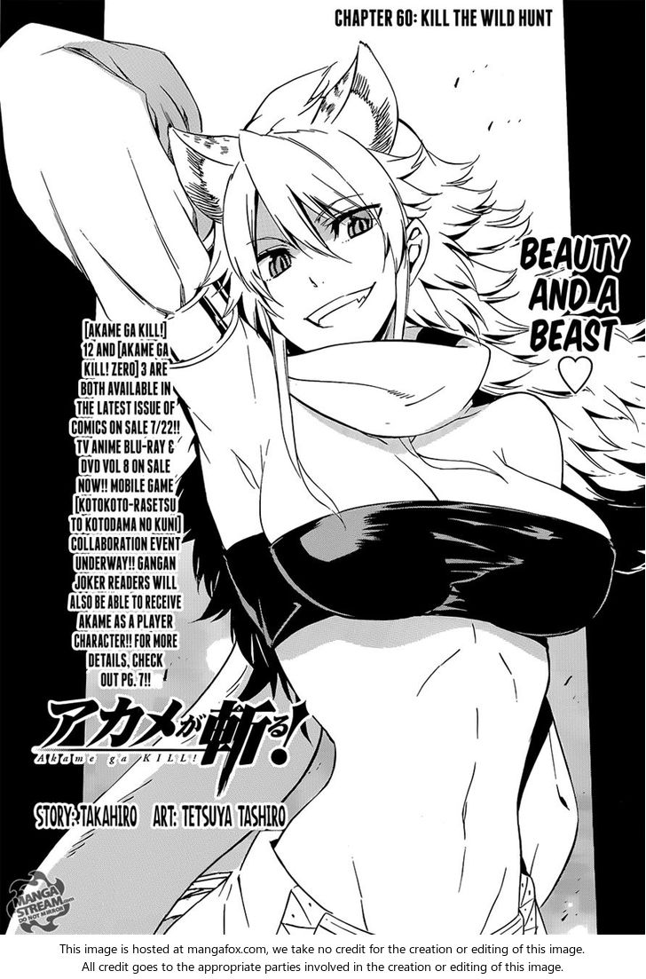 Read Akame ga Kill! en Manga Online