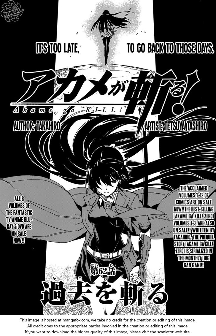 Read Akame ga Kill! en Manga Online