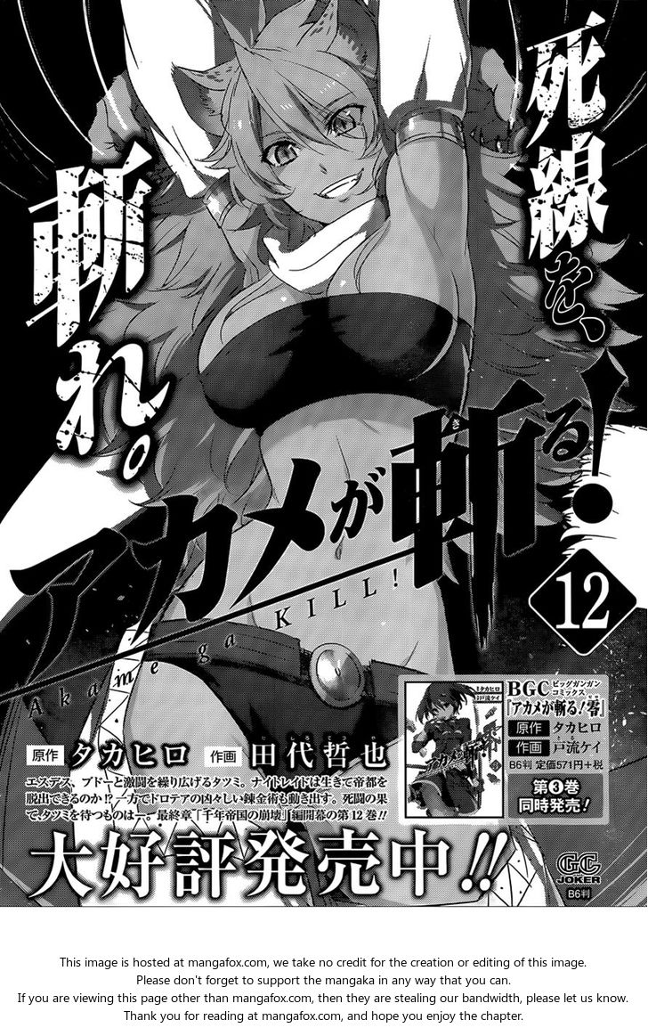 Read Akame ga Kill! en Manga Online