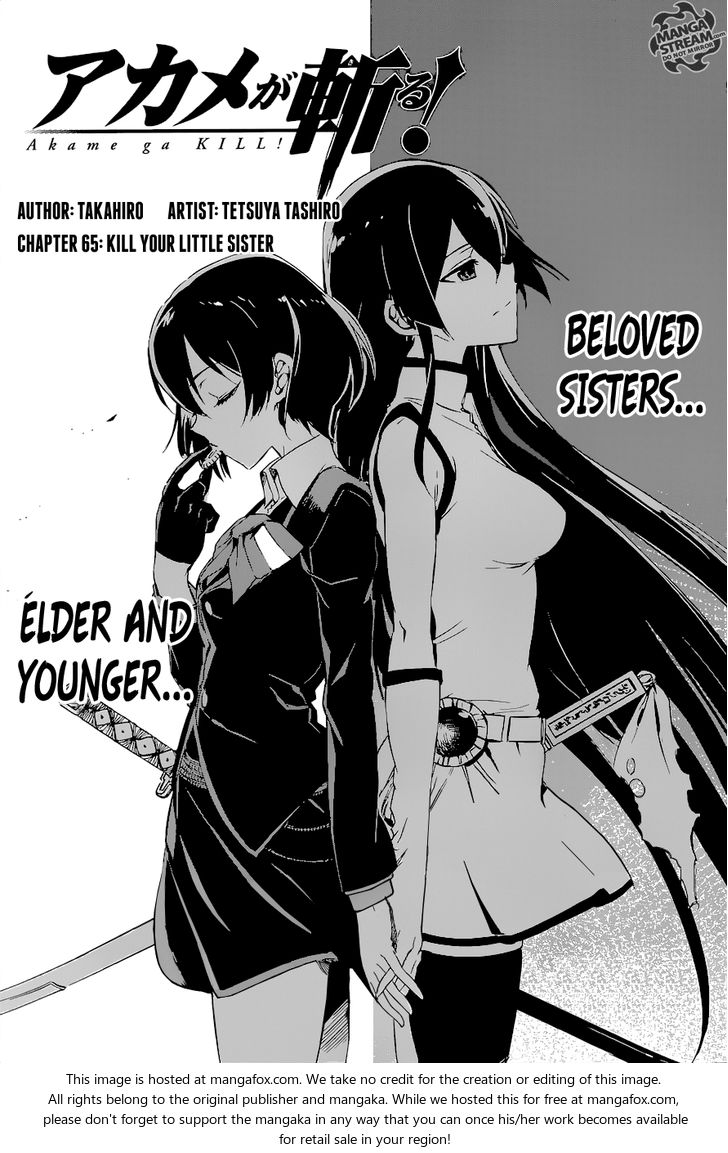 Read Akame ga Kill! en Manga Online