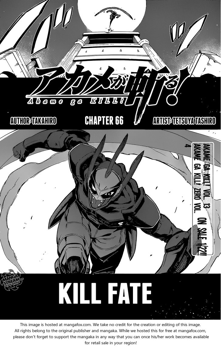 Read Akame ga Kill! en Manga Online