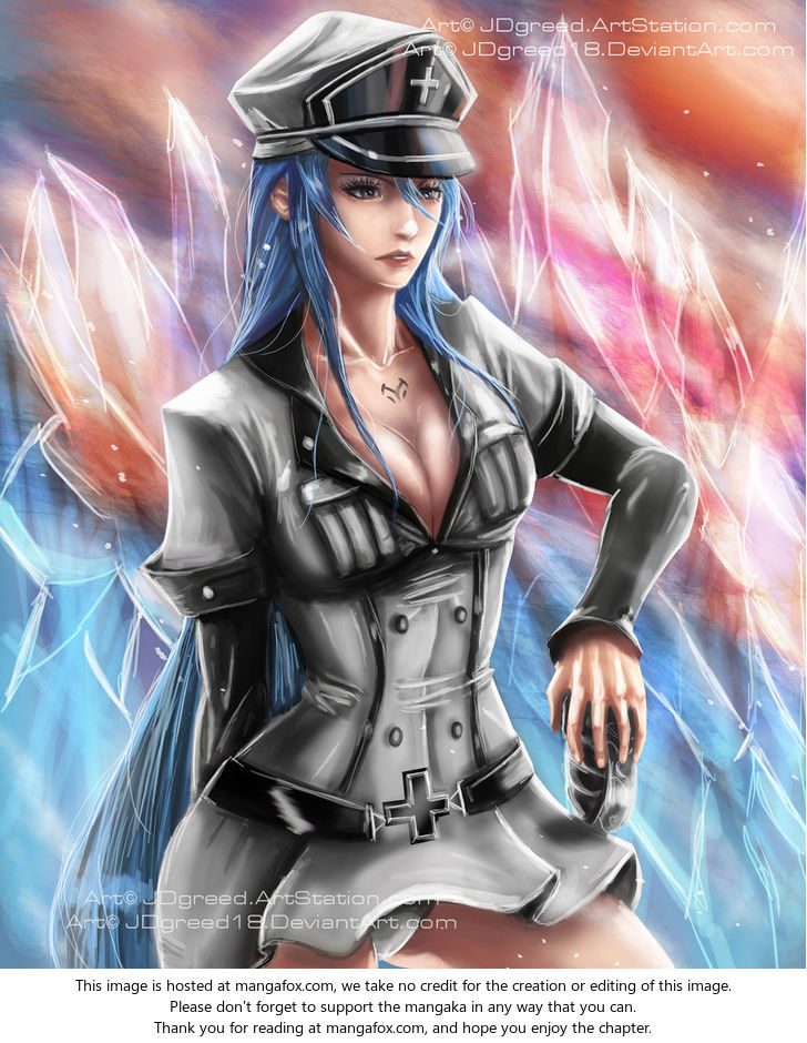 Read Akame ga Kill! en Manga Online