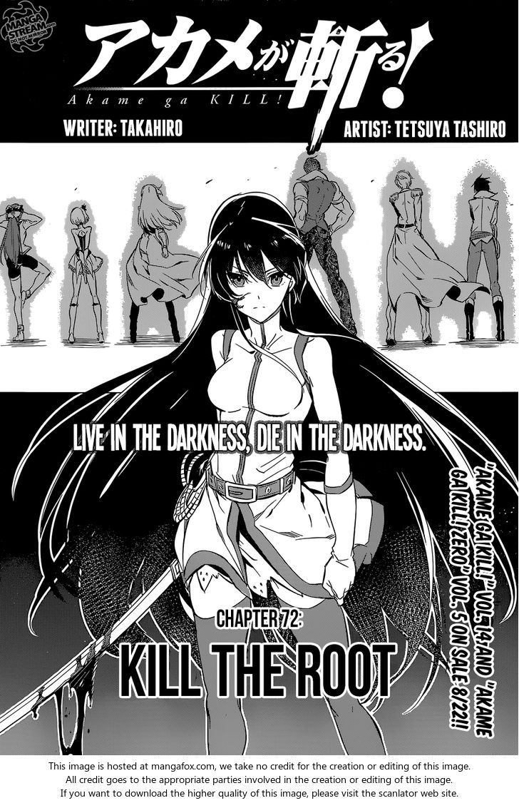 Read Akame ga Kill! en Manga Online