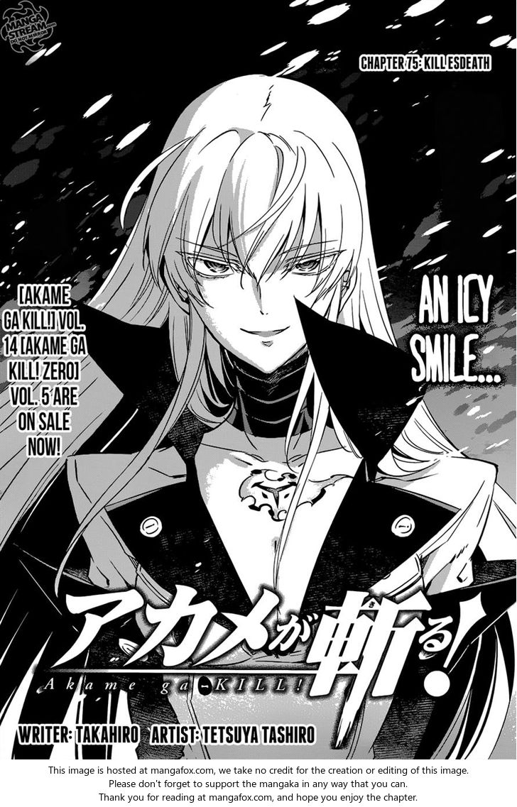 Read Akame ga Kill! en Manga Online