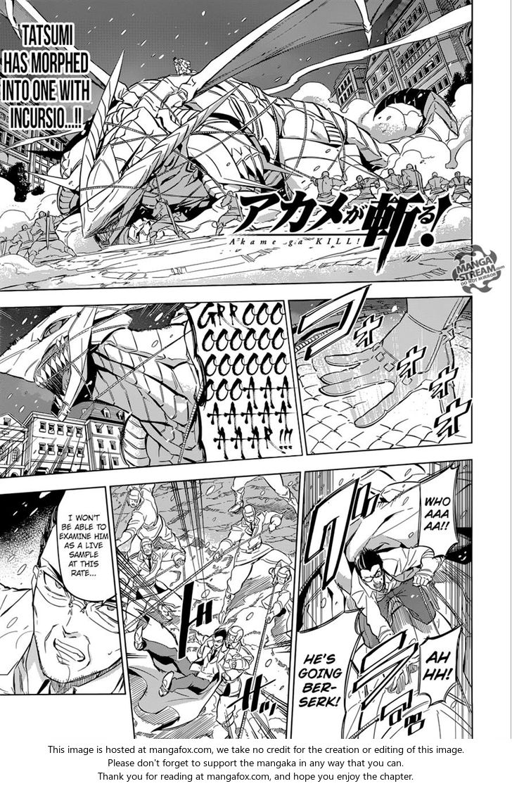 Read Akame ga Kill! en Manga Online