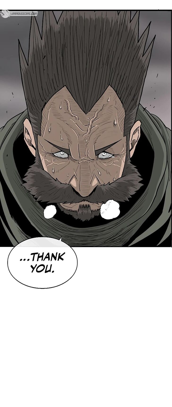 Read Legend of the Northern Blade en Manga Online