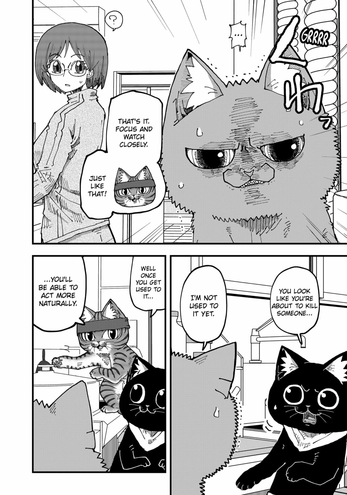 Read Red Cat Ramen en Manga Online
