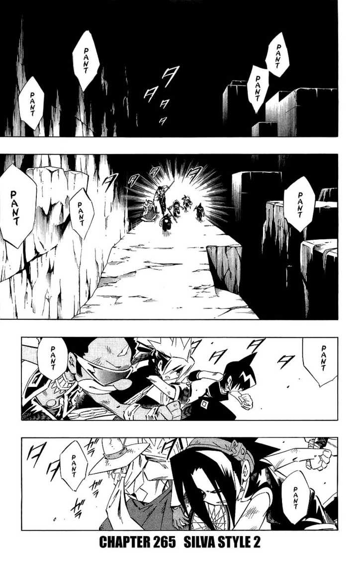 Read Shaman King en Manga Online