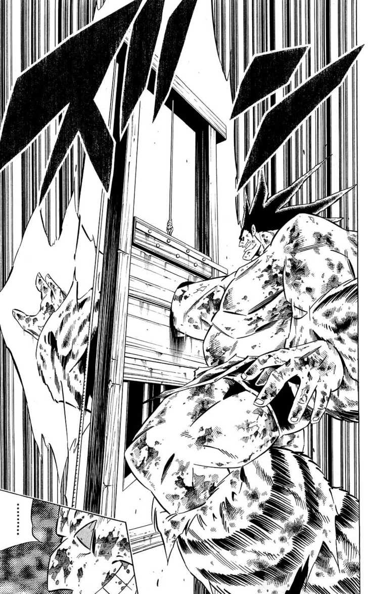 Read Shaman King en Manga Online