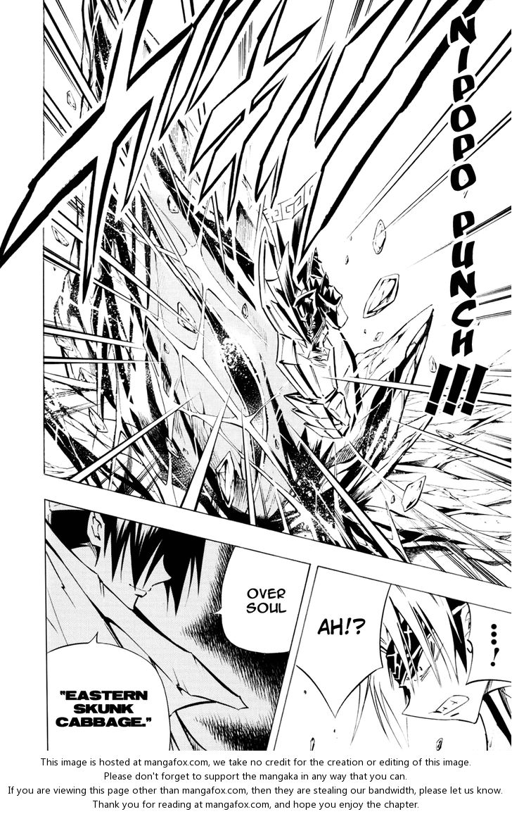 Read Shaman King en Manga Online