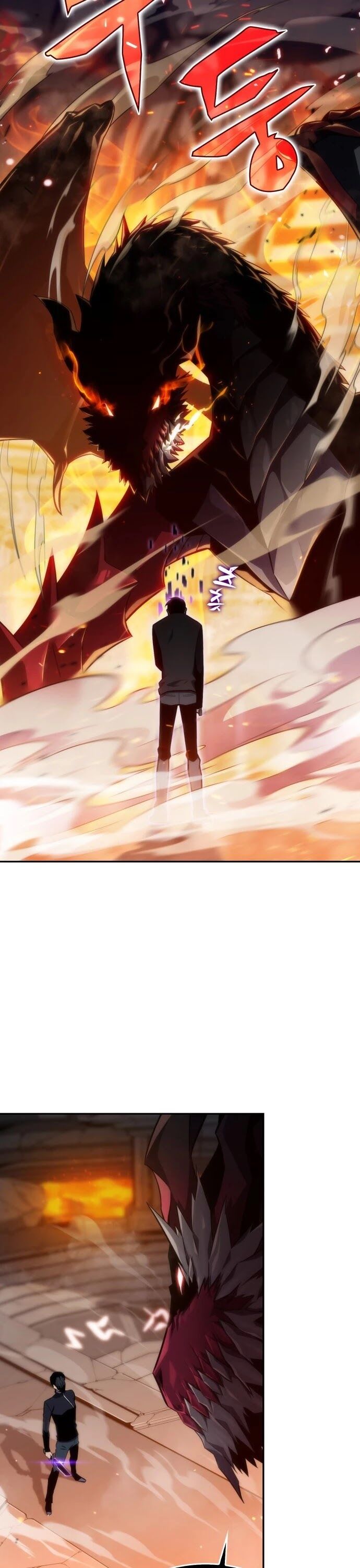 Read Solo Max-Level Newbie en Manga Online