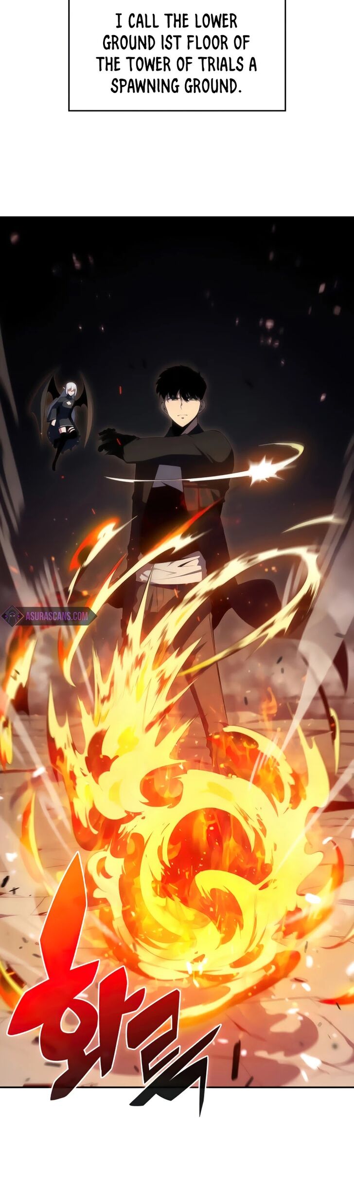 Read Solo Max-Level Newbie en Manga Online