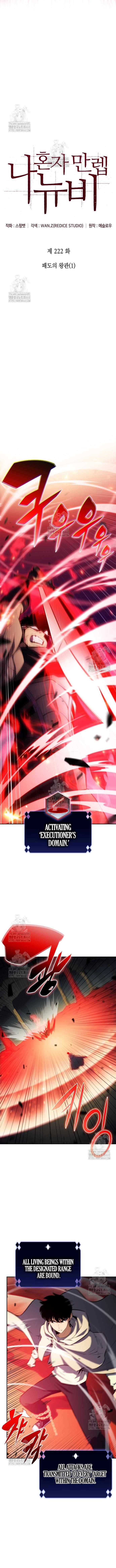 Read Solo Max-Level Newbie en Manga Online