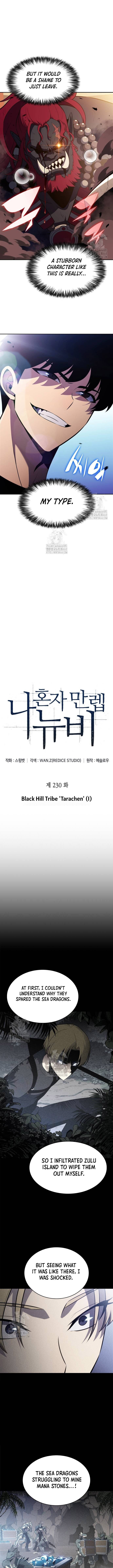 Read Solo Max-Level Newbie en Manga Online