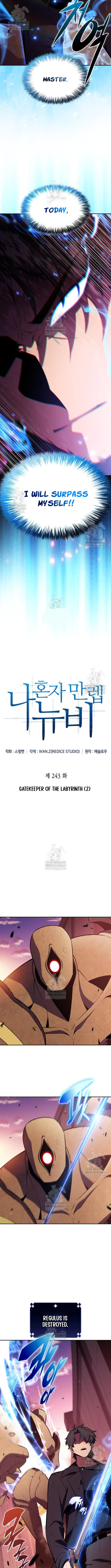 Read Solo Max-Level Newbie en Manga Online