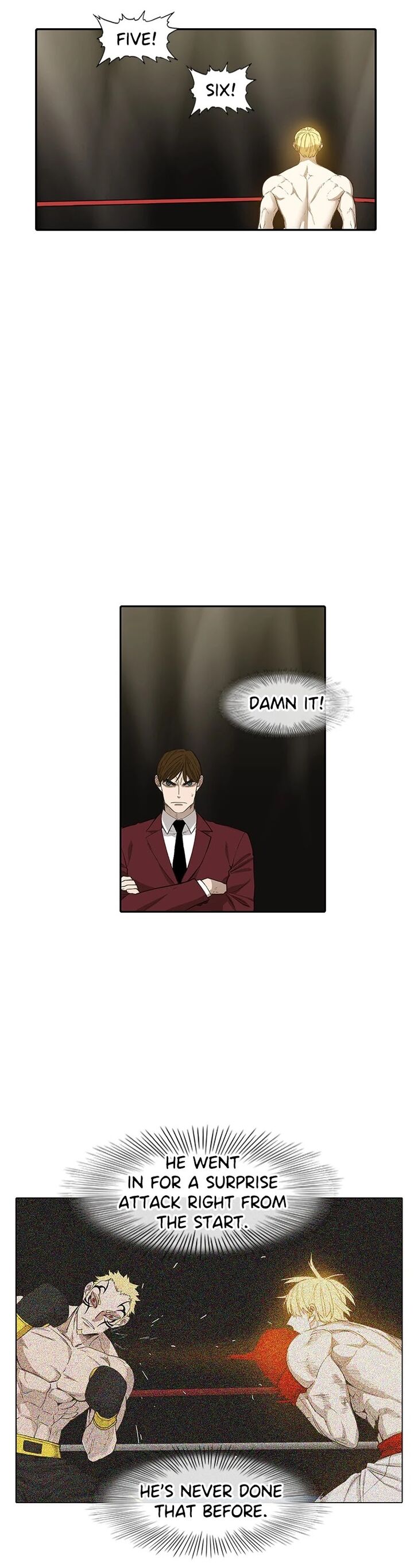 Read The Boxer en Manga Online