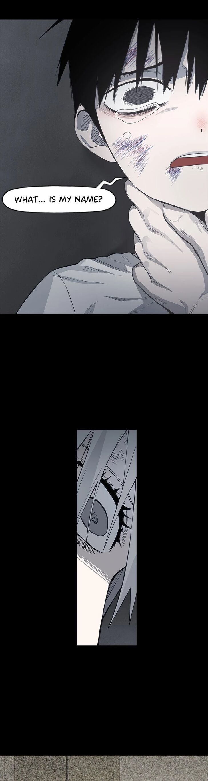 Read The Boxer en Manga Online