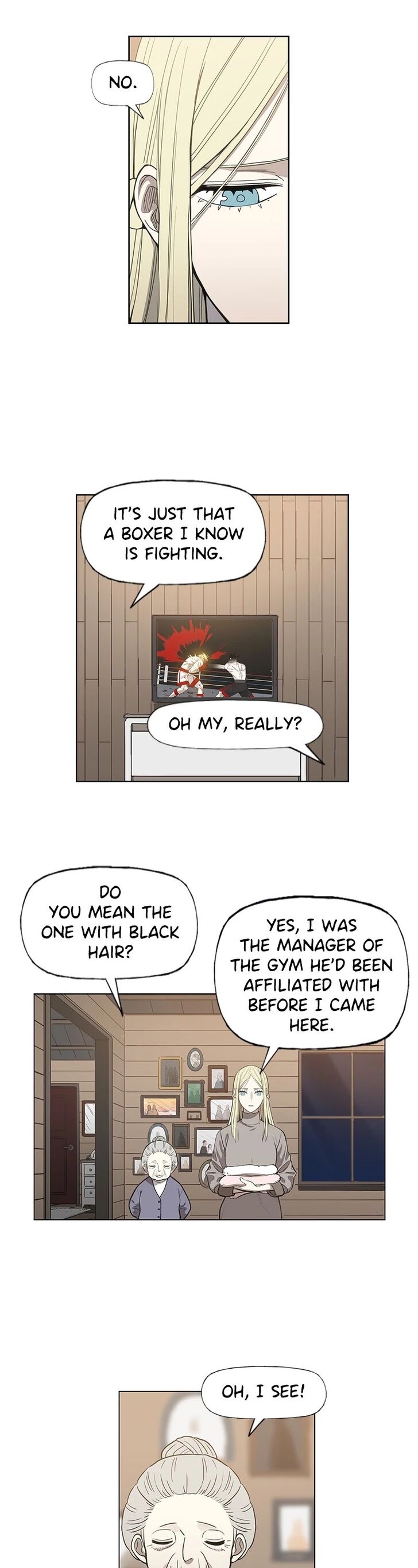 Read The Boxer en Manga Online