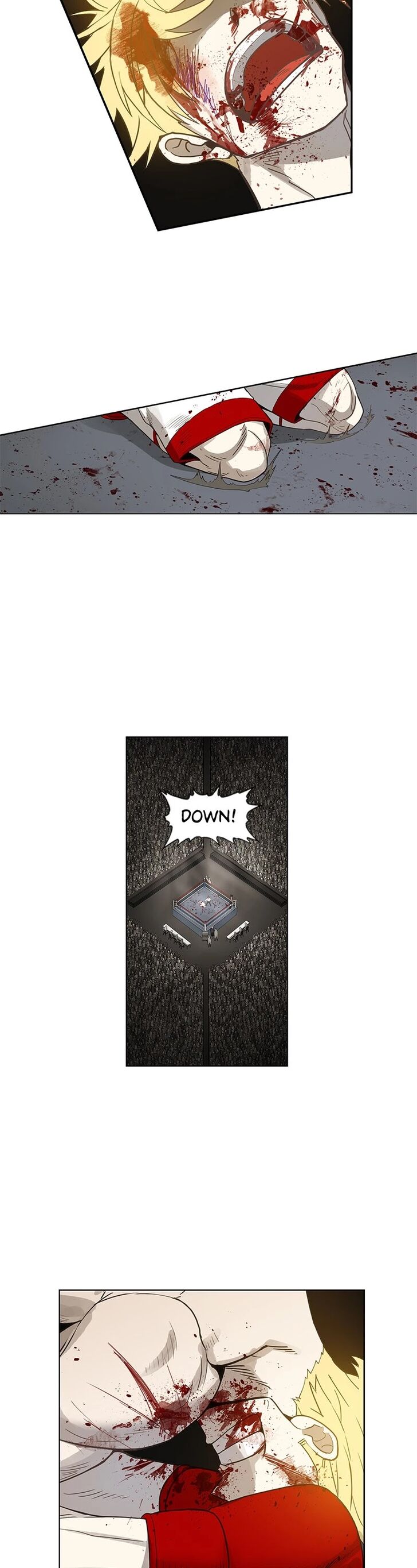 Read The Boxer en Manga Online