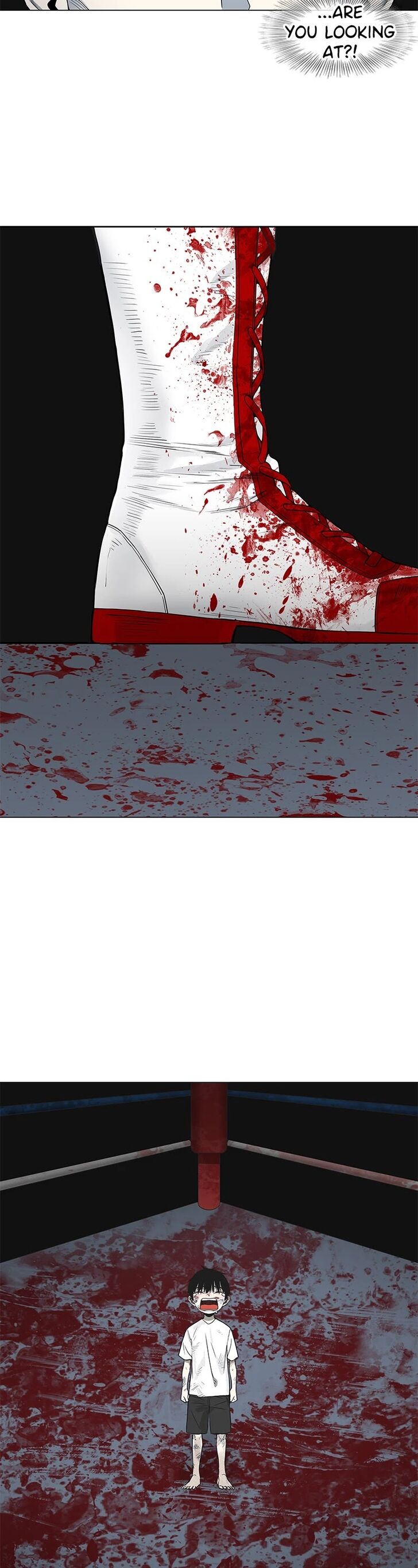 Read The Boxer en Manga Online