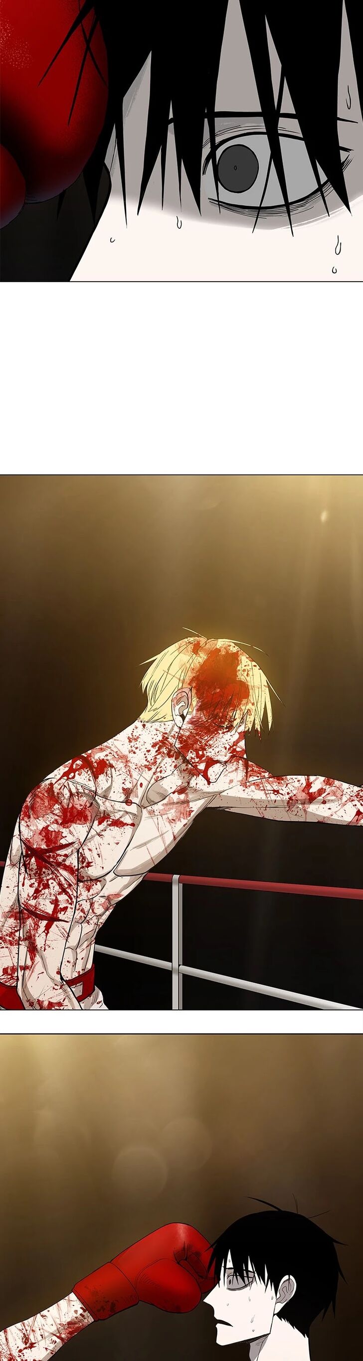 Read The Boxer en Manga Online