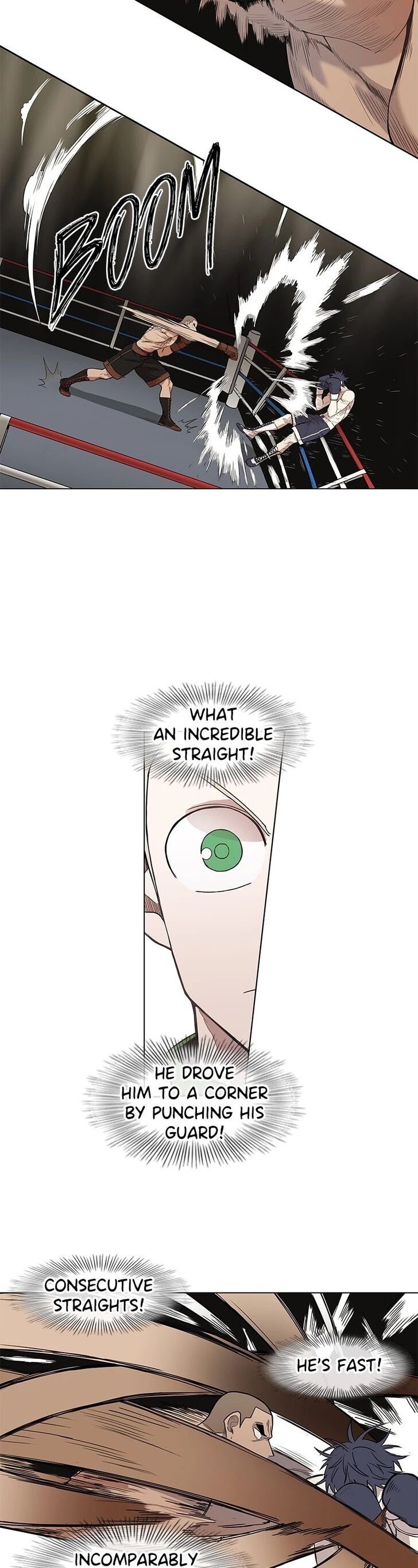 Read The Boxer en Manga Online