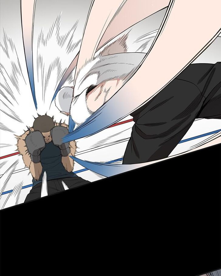 Read The Boxer en Manga Online