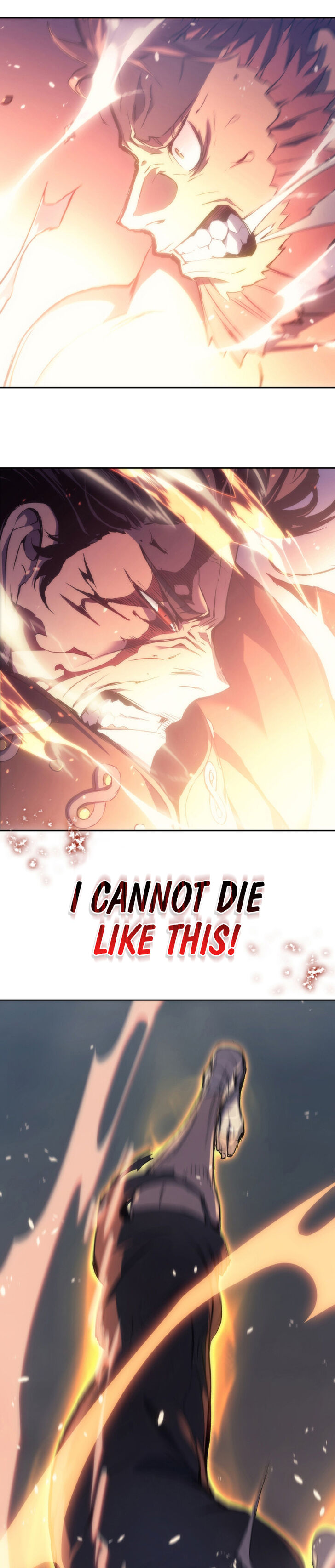 Read The Reincarnated King of Fists en Manga Online