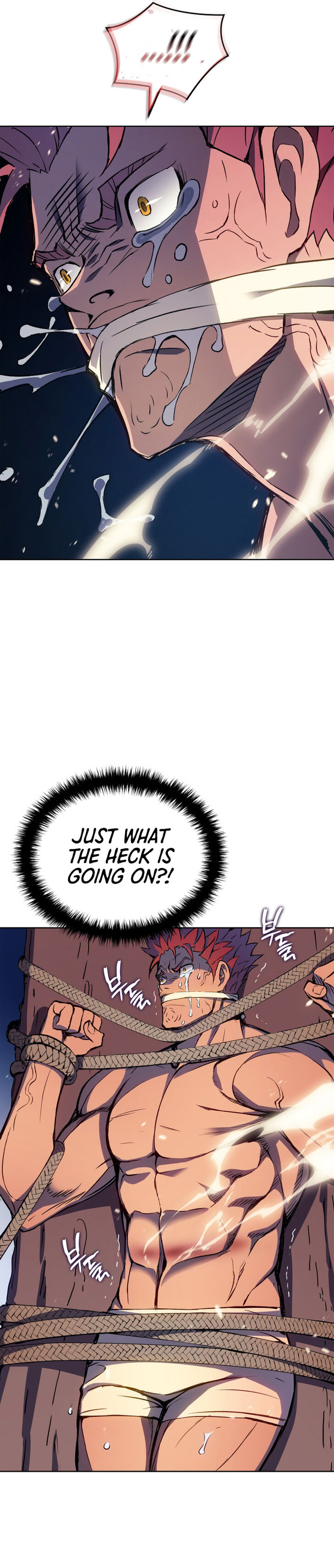 Read The Reincarnated King of Fists en Manga Online