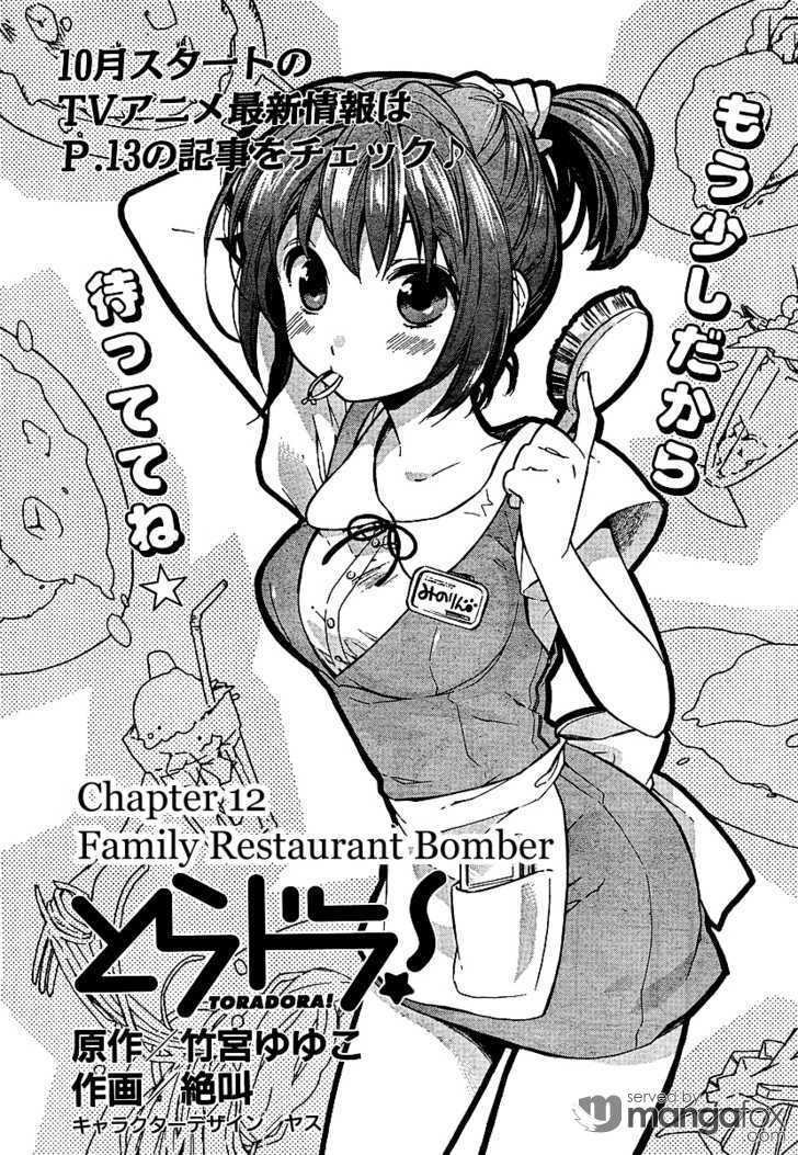 Read Toradora! EN Manga Online