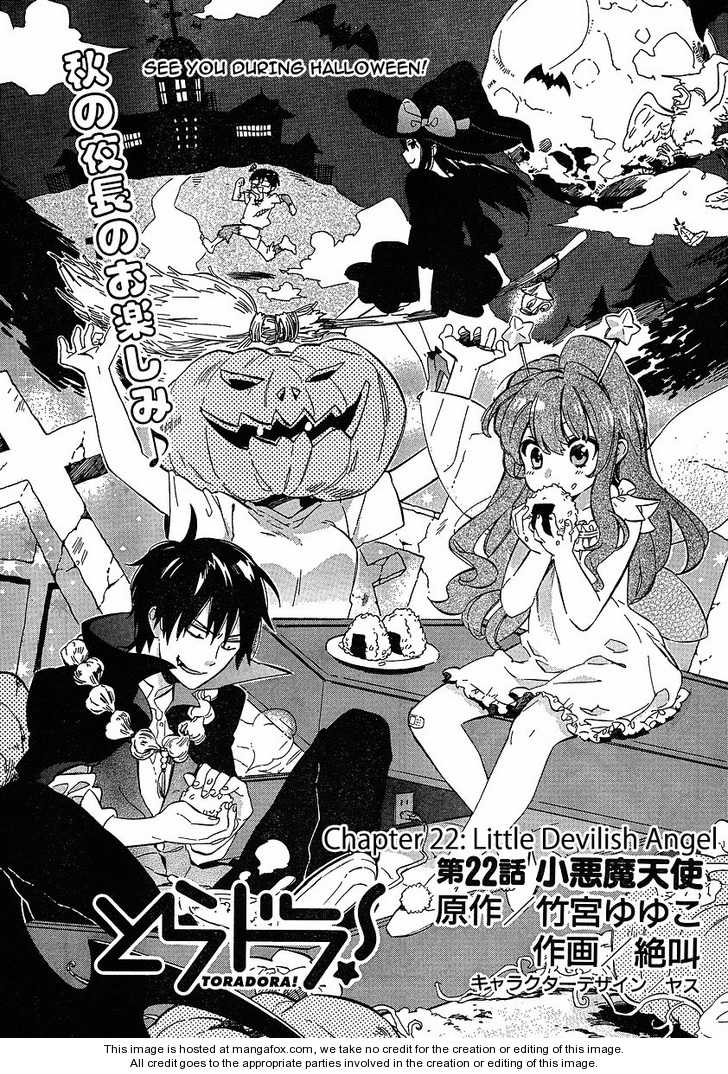 Read Toradora! EN Manga Online
