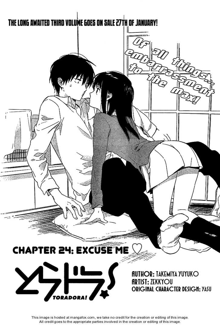 Read Toradora! EN Manga Online