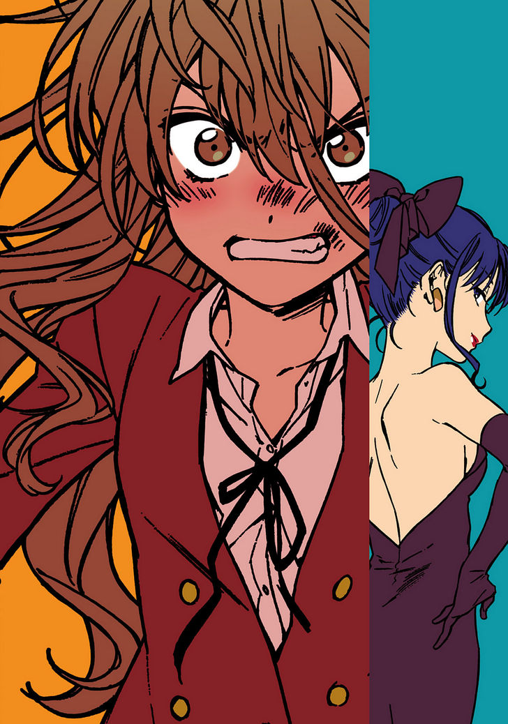 Read Toradora! EN Manga Online