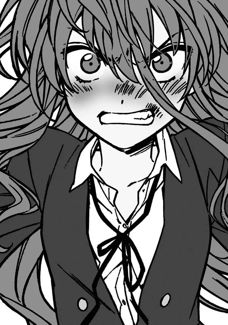 Read Toradora! EN Manga Online