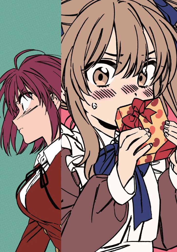 Read Toradora! EN Manga Online