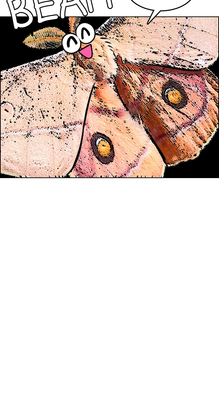 Read True Beauty en Manga Online