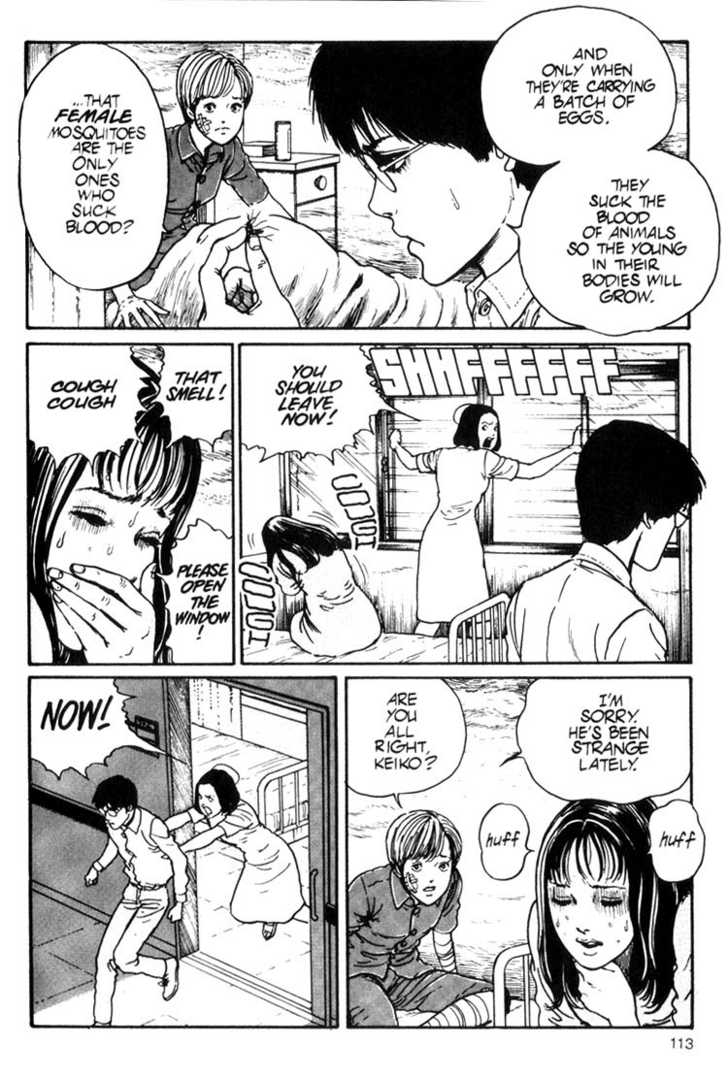 Read Uzumaki en Manga Online