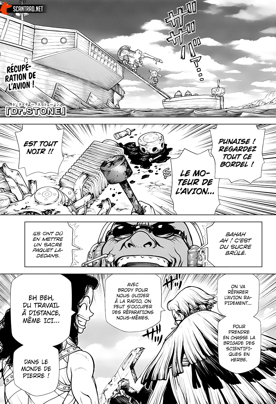 Read Dr. Stone FR Manga Online