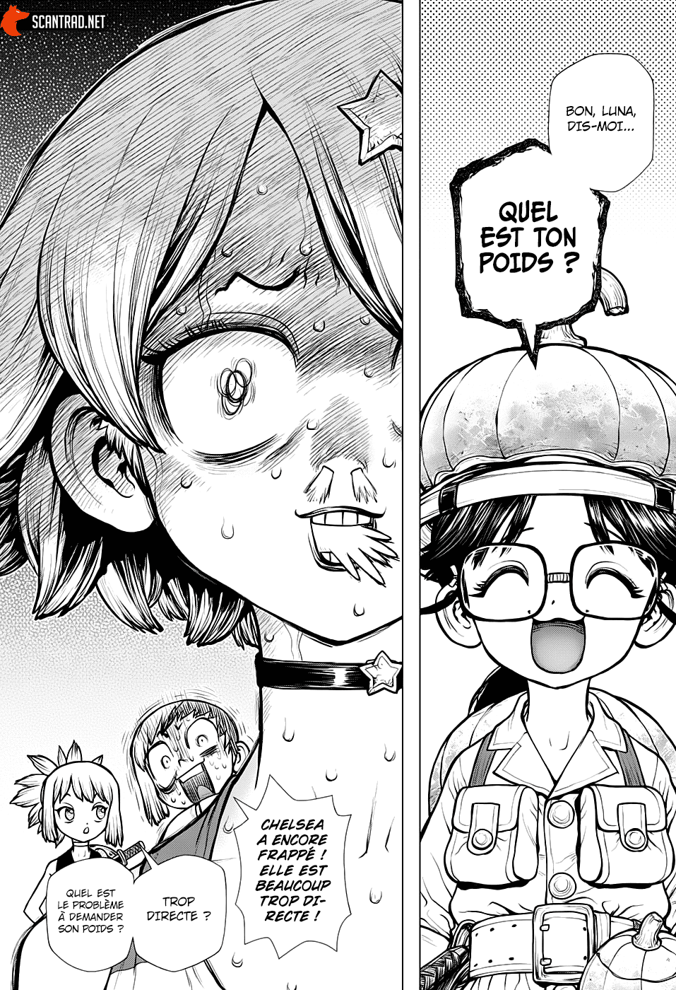 Read Dr. Stone FR Manga Online