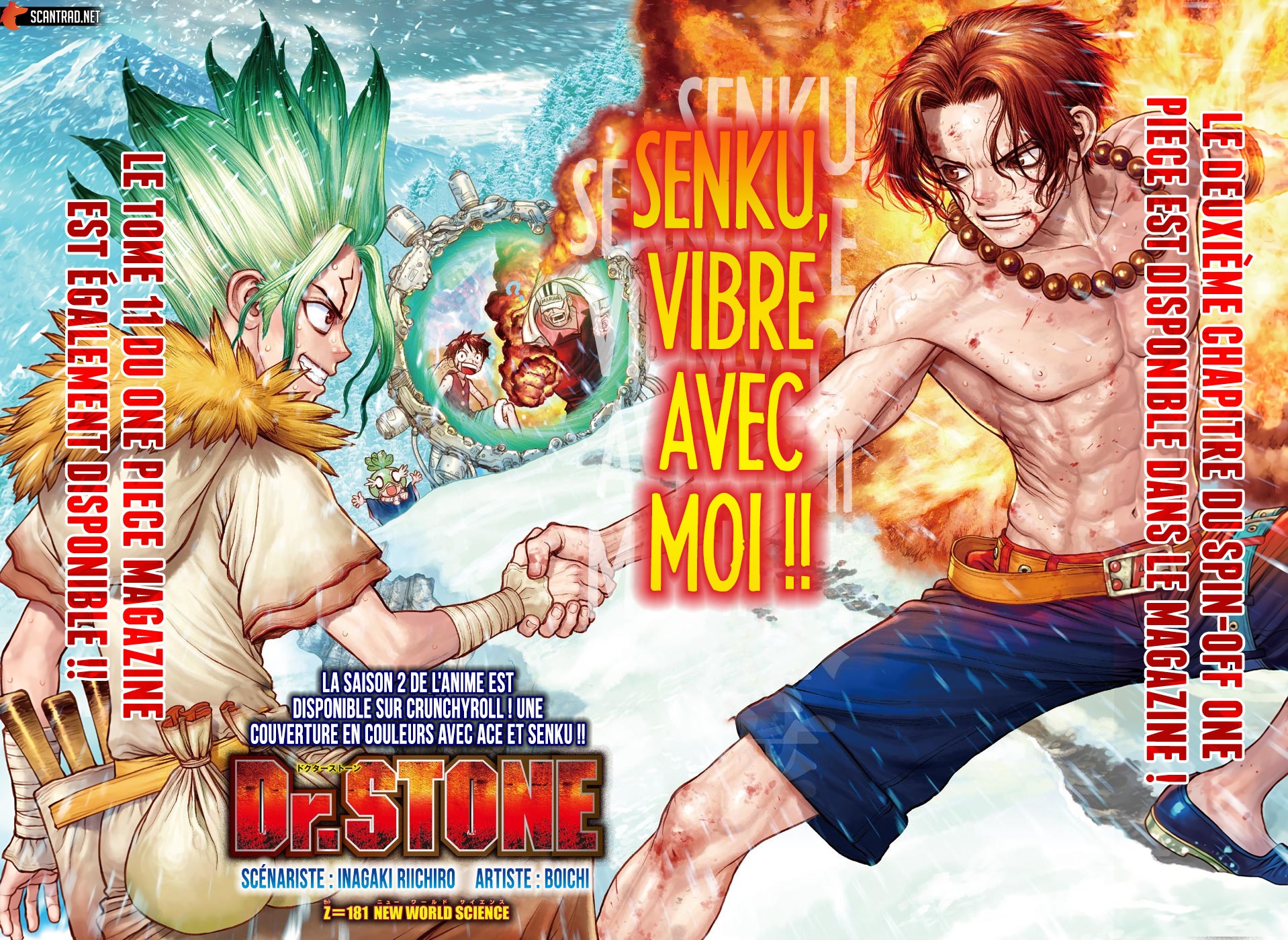 Read Dr. Stone FR Manga Online