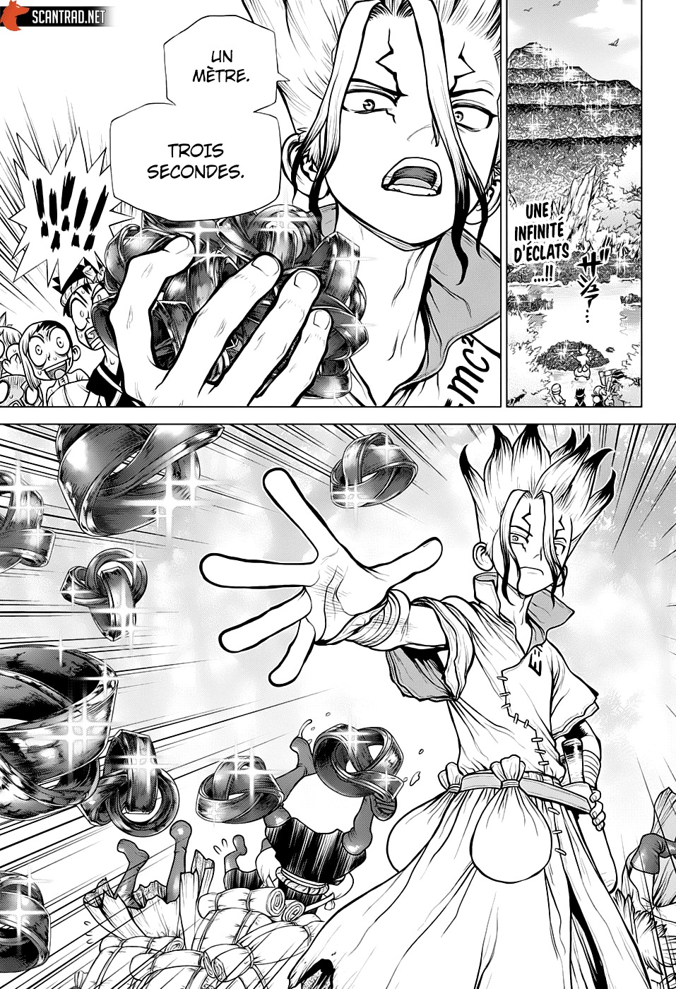Read Dr. Stone FR Manga Online