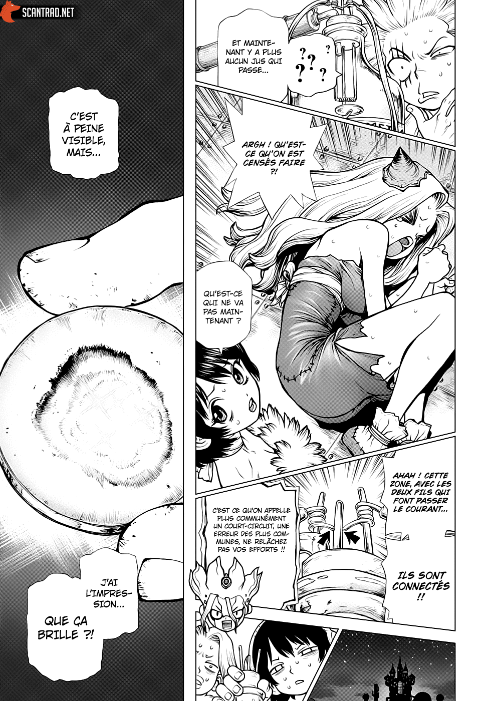 Read Dr. Stone FR Manga Online