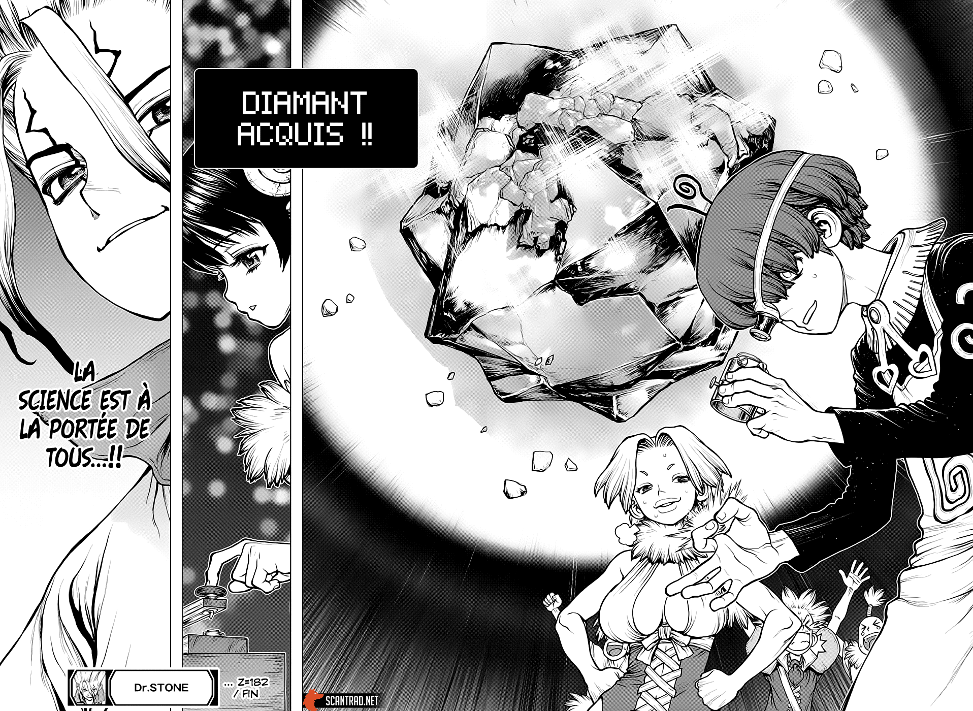 Read Dr. Stone FR Manga Online