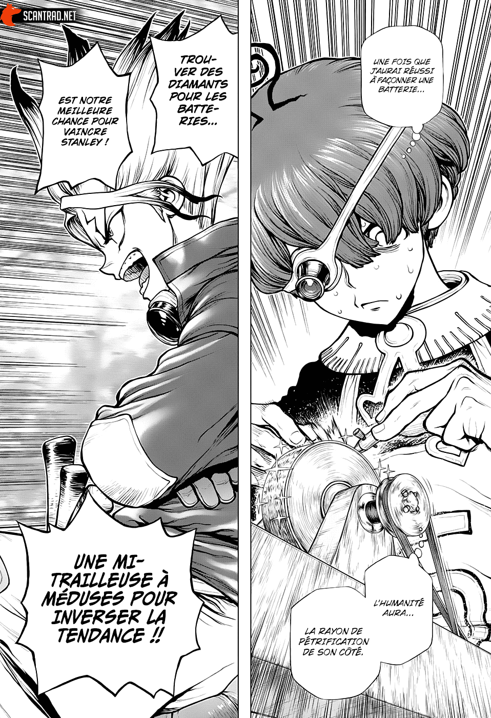 Read Dr. Stone FR Manga Online